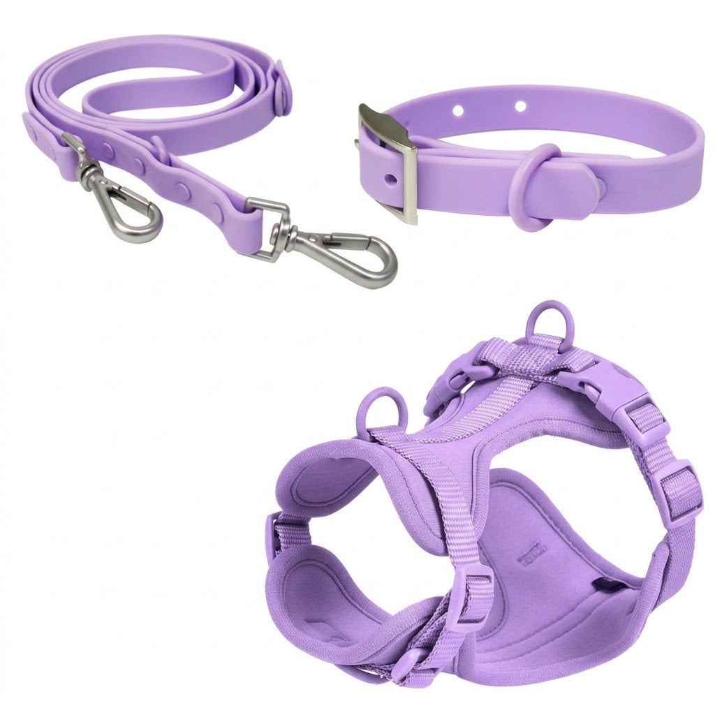 Complete Walk Set