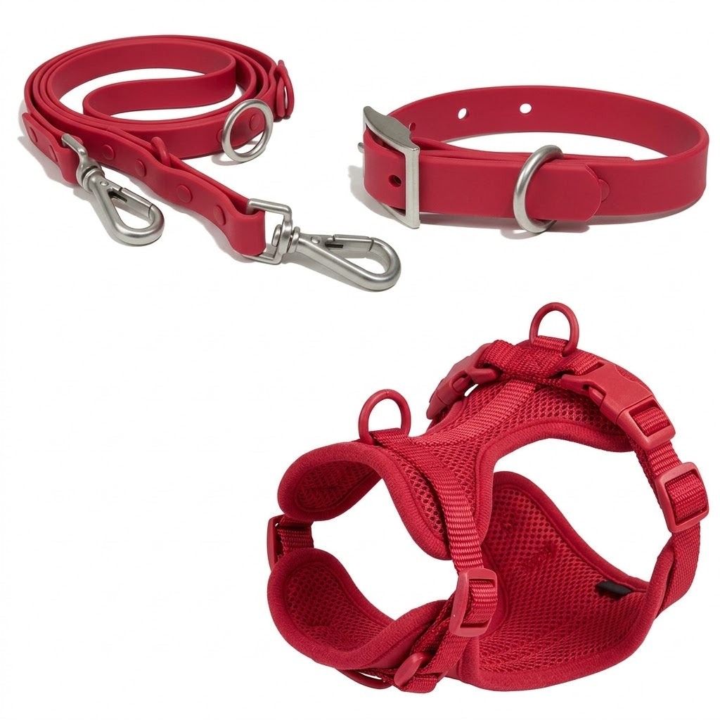 Complete Walk Set
